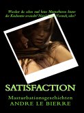 Satisfaction (eBook, ePUB)