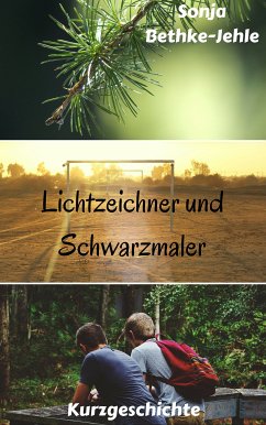 Lichtzeichner und Schwarzmaler (eBook, ePUB) - Bethke-Jehle, Sonja