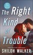 The Right Kind of Trouble (eBook, ePUB) - Bild 1
