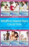 Wildfire Island Docs: The Man She Could Never Forget / The Nurse Who Stole His Heart / Saving Maddie's Baby / A Sheikh to Capture Her Heart / The Fling That Changed Everything / A Child to Open Their Hearts (eBook, ePUB)