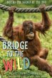 Bridge to the Wild (eBook, ePUB) - Bild 1