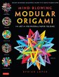 Mind-Blowing Modular Origami (eBook,... - Bild 1