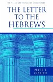 Letter to the Hebrews (eBook, ePUB) Letter to the Hebrews (eBook, ePUB)