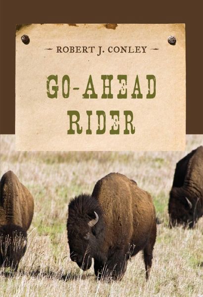 Go-Ahead Rider (eBook, ePUB)
