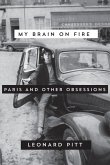 My Brain on Fire (eBook, ePUB)