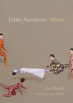 Little Anodynes (eBook, ePUB) - Pineda, Jon