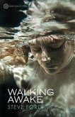 Walking Awake (eBook, ePUB)