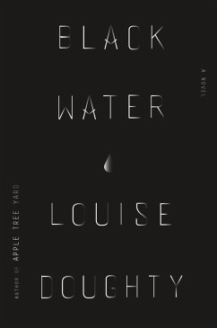 Black Water (eBook, ePUB) - Doughty, Louise
