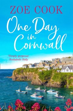 One Day in Cornwall (eBook, ePUB) - Cook, Zoe