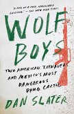 Wolf Boys (eBook, ePUB)