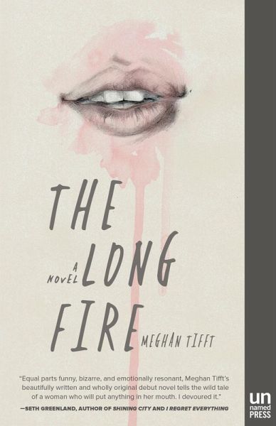 The Long Fire (eBook, ePUB)