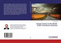 Image Fusion in the Multi-Scale Transforms Domain