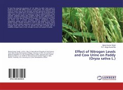 Effect of Nitrogen Levels and Cow Urine on Paddy (Oryza sativa L.)