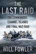 The Last Raid (eBook, ePUB) - Bild 1