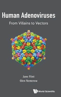 Human Adenoviruses - Flint, S Jane; Nemerow, Glen R