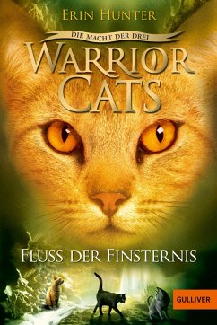 Fluss der Finsternis / Warrior Cats Staffel 3 Bd.2 - Hunter, Erin
