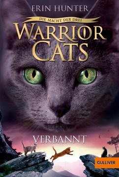 Verbannt / Warrior Cats Staffel 3 Bd.3 - Hunter, Erin