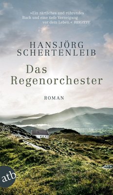 Das Regenorchester - Schertenleib, Hansjörg