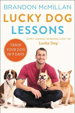 Lucky Dog Lessons (eBook, ePUB) - Mcmillan, Brandon