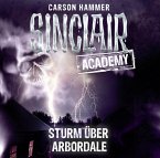 Sturm über Arbordale / Sinclair Academy Bd.4 (2 Audio-CDs)