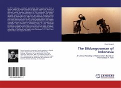 The Bildungsroman of Indonesia