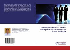The Determinants of micro-enterprises in Debremarkos Town, Ethiopia - Zewdie, Birhanu Mengist