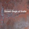 Street Dogs of India - Bild 1