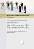 Sammelband: Alle Mitbestimmungsrechte des Betriebsrates laut BetrVG (eBook, PDF)