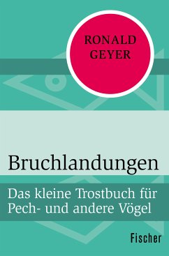 Bruchlandungen (eBook, ePUB) - Geyer, Ronald