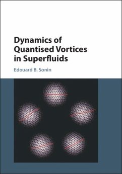 Dynamics of Quantised Vortices in Superfluids (eBook, PDF) - Sonin, Edouard B.