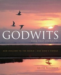 Cover Godwits (eBook, ePUB)