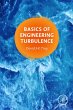 Basics of Engineering Turbulence... - Bild 1
