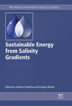 Sustainable Energy from Salinity Gradients (eBook, ePUB)