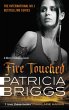 Fire Touched (eBook, ePUB) - Bild 1