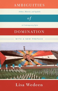 Cover Ambiguities of Domination (eBook, ePUB)