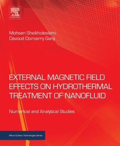 Cover External Magnetic Field Effects on Hydrothermal Treatment of Nanofluid (eBook, ePUB)
