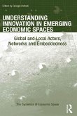 Understanding Innovation in Emerging Economic Spaces (eBook, ePUB)