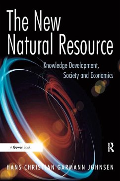 The New Natural Resource (eBook, ePUB) - Johnsen, Hans Christian Garmann