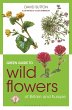 Green Guide to Wild Flowers Of Britain... - Bild 1