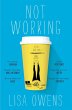 Not Working (eBook, ePUB) - Bild 1