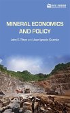 Mineral Economics and Policy (eBook, PDF)
