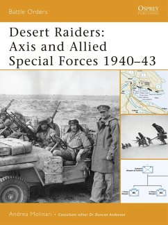 Cover Desert Raiders (eBook, PDF)