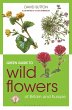 Green Guide to Wild Flowers Of Britain... - Bild 1