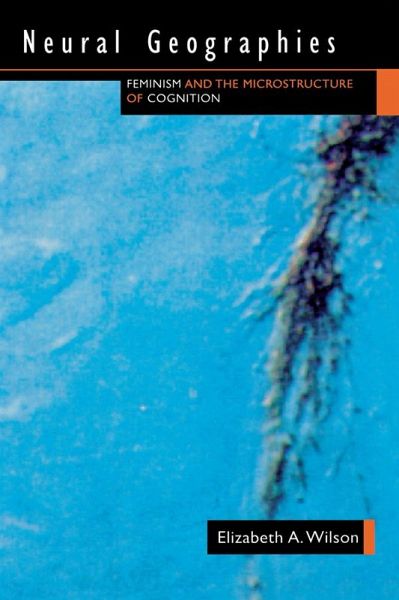 Neural Geographies (eBook, PDF)