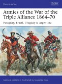 Armies of the War of the Triple Alliance 1864-70 (eBook, PDF)