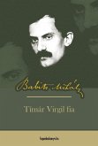 Timár Virgil fia (eBook, ePUB)