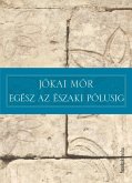 Egész az északi pólusig (eBook, ePUB)