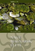 Nagy magyarok élete (eBook, ePUB)