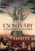 Válogatás Csontváry levelezéséből és írásaiból (eBook, ePUB)