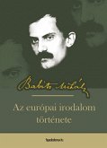Az európai irodalom története (eBook, ePUB)